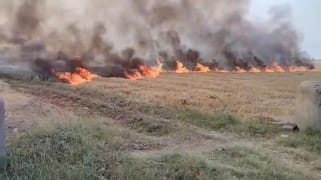 Wheat crop residue burnt in 200 acres in Hijrawan Khurd, fire brigade which reached to extinguish it also got engulfed