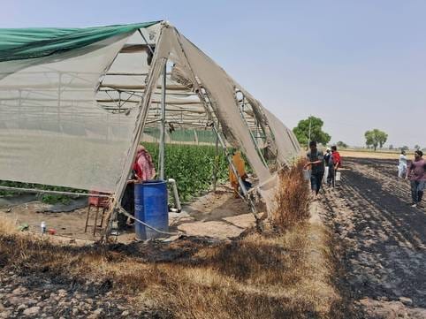 20 acres of wheat straw and polyhouse burnt in village Kanhari