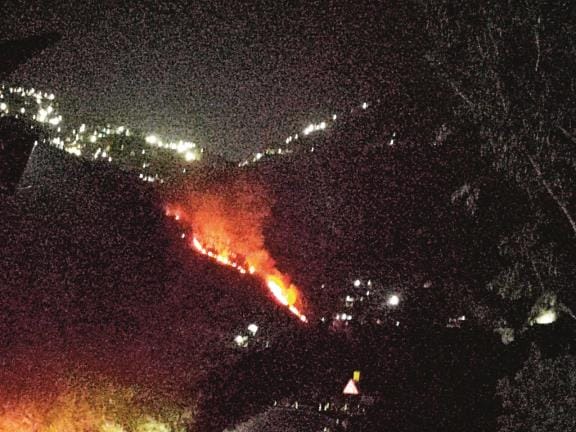 A huge fire broke out in the forest of Veerbatti area