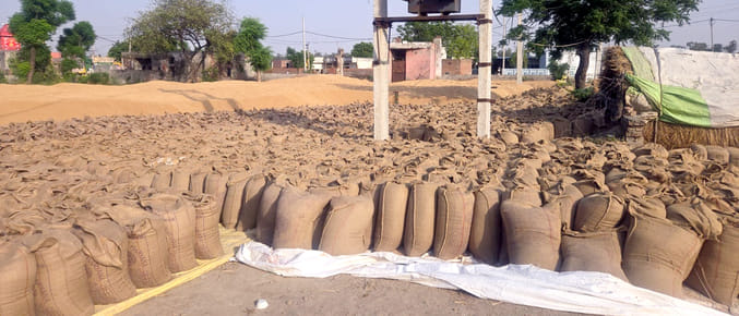 Lifting work is very slow in Didwara purchase center