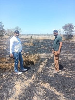 Wheat crop burnt to ashes on 200 Kanal land in Pandoga, loss of Rs 7 lakh