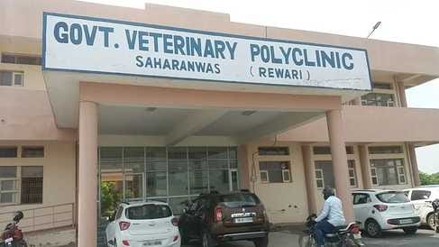 There is no facility of ultrasound and X-ray in the district veterinary hospital and poly clinic