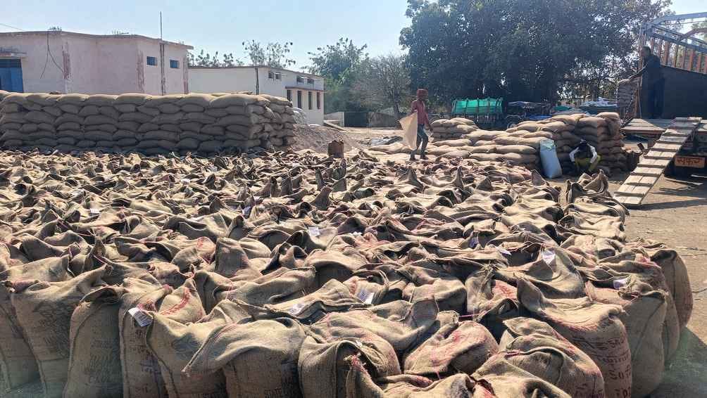 Union government procured over 256 lakh metric tonnes of wheat so far during Rabi marketing season 2025-26