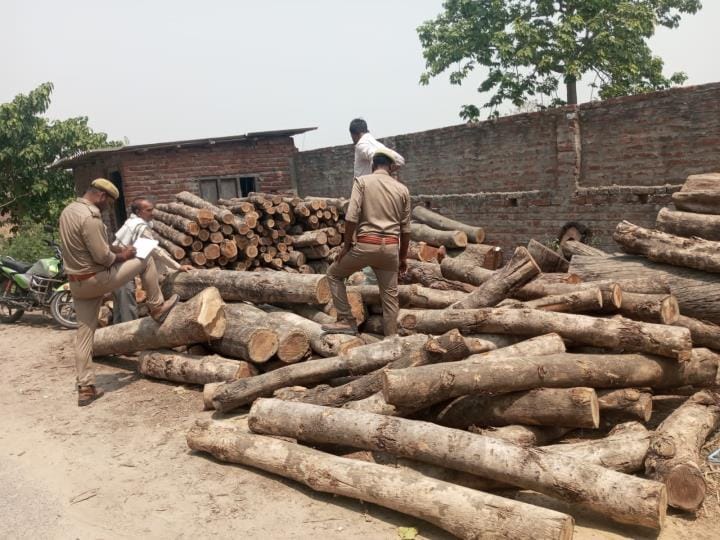 125 boats of teak wood recovered, saw machine operating without permit sealed