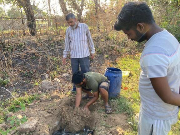 Banned Thai Mangur fish reaches Jammu and Kashmir