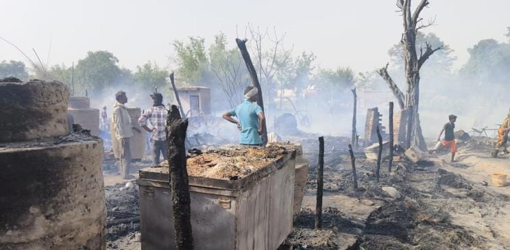 17 houses burnt to ashes, 25 cattle died due to massive fire