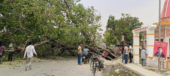 Tree fell due to storm... Ramjanaki road blocked, woman injured