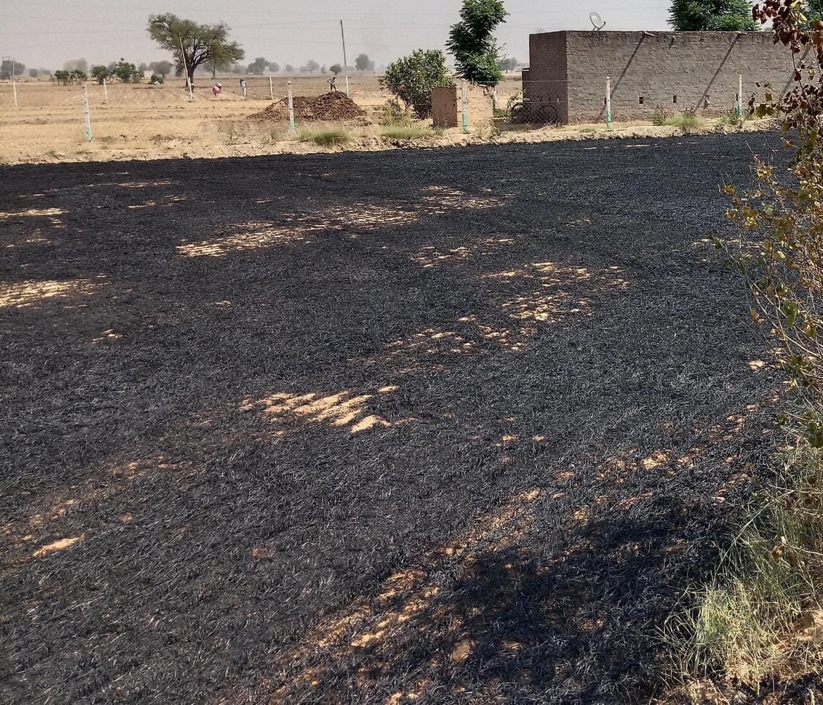 Wheat stacks caught fire at five places in Fatehabad district