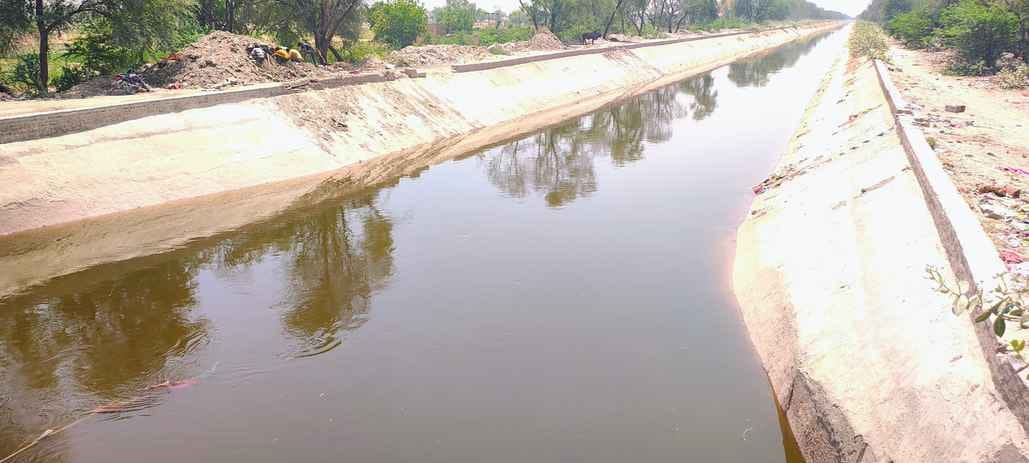 गंगनहर में रविवार को आया काला दूषित पानी।