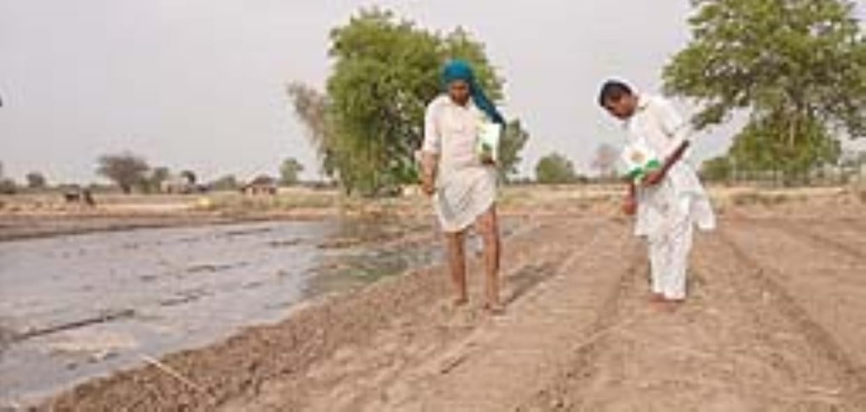 Canal closure has doubled the farmers' chances, seeds are not able to germinate with tubewell water
