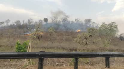Shivpuri Tiger Reserve area is in the grip of fire, fires are breaking out continuously