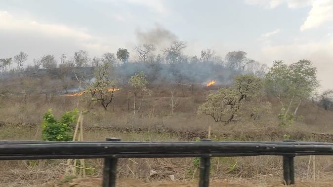 Shivpuri Tiger Reserve area is in the grip of fire, fires are breaking out continuously