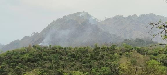 Fire in Forest on Second Day