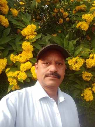 Not only police but people are responsible for jam in Palampur