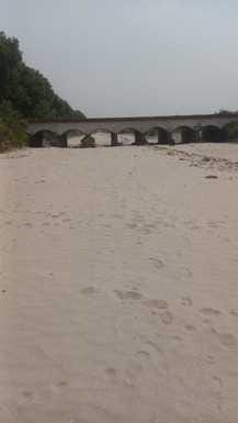 Branch canal is dry, farmers are yearning for water
