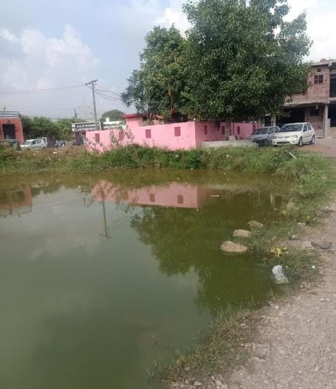 No Renovation of Ancient Pond