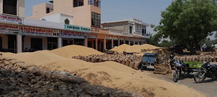 There was no purchase of wheat in the grain markets across the district today