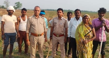 The tiger took away the cow grazing in the field