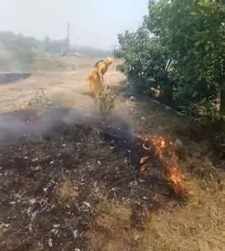 Bhalkhun Brahmin and Dhiman colony saved from fire