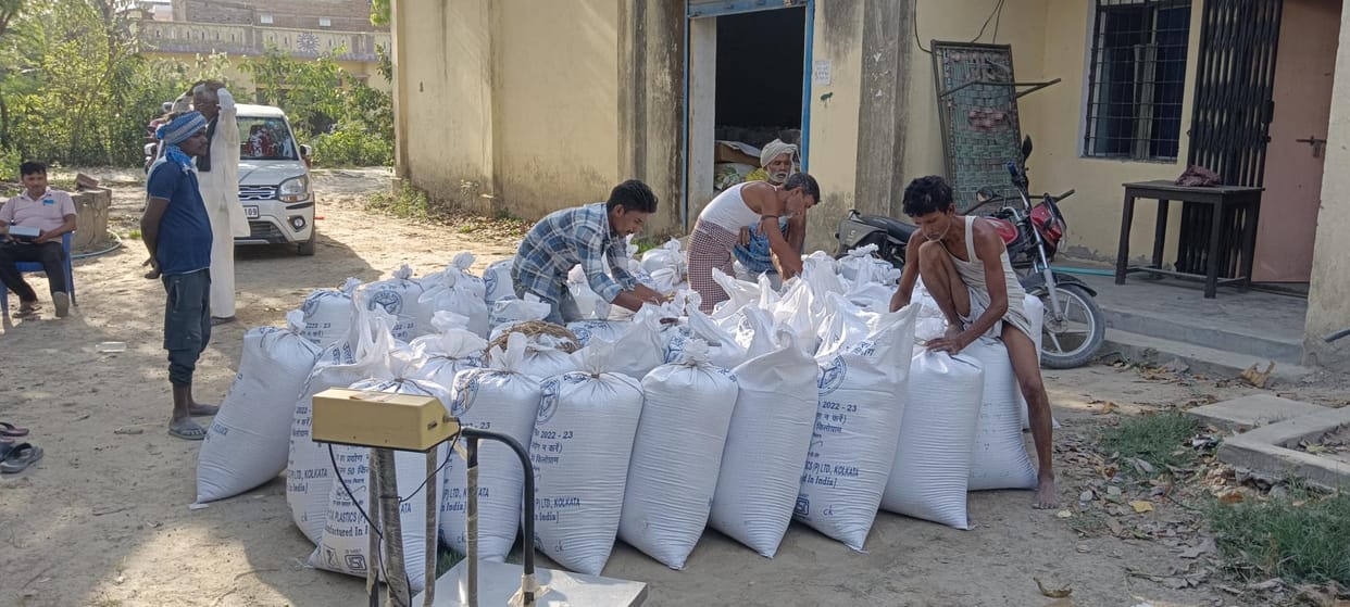 Officials are filling their papers with power... middlemen are taking wheat