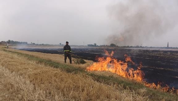 67 bighas of straw burnt in the fire