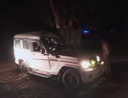 Shahdol Road Accident High speed Bolero collided with tree driver died incident on Shahdol-Rewa main road