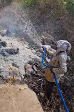 The flames of the garbage fire reached the bushes
