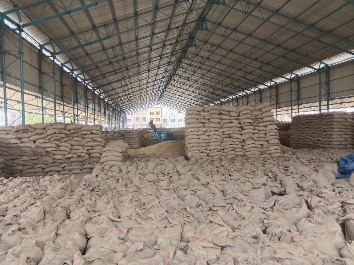 Wheat crop is not being paid for, farmers are making rounds of middlemen