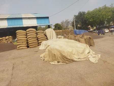The pace of lifting is slow, markets are filled with mustard and wheat