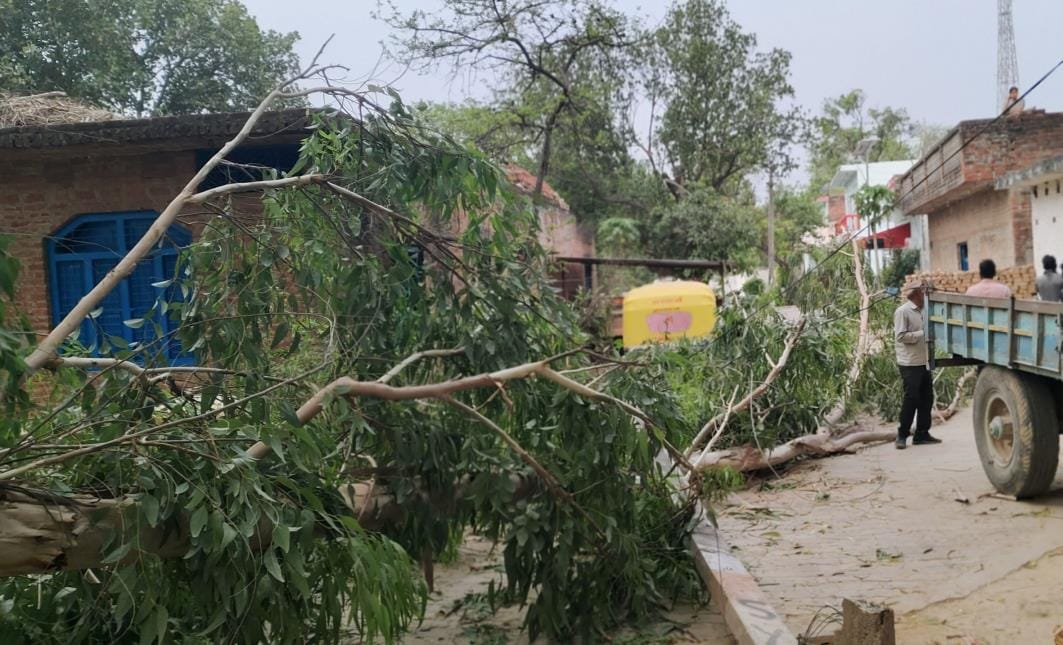 Tree fell in the storm, pole broke, power cut
