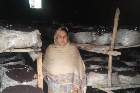 Vimala achieved success by becoming an entrepreneur from a mushroom producer
