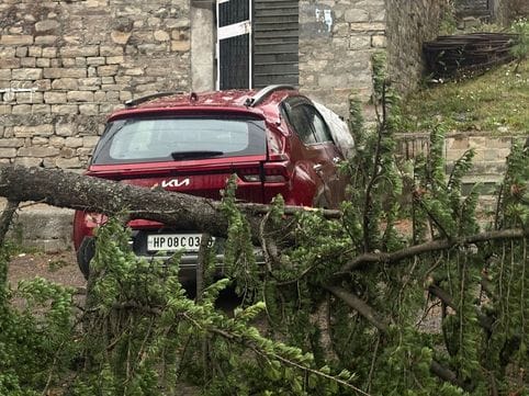 Car damaged due to falling of tree in Chaupal