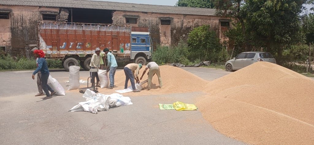 B PACS Bankati is a failure in wheat procurement whereas Food Department's number four centre is at the top