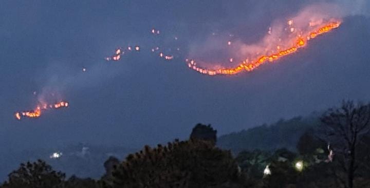 Forest Fire Hits Almora District