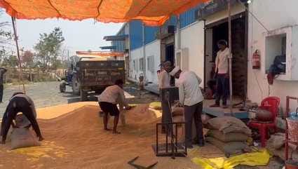 वेयर हाउसों पर चल रही खरीदी