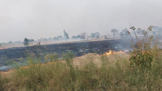 Crop residues set on fire on the roadside on Bhiwani-Mahem road