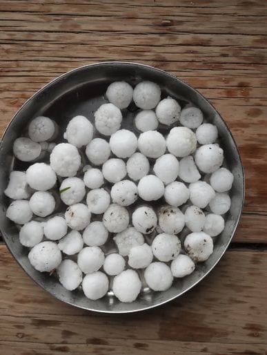 Hailstorm wreaked havoc on apple and pea crops