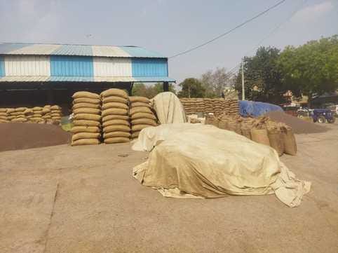 1.20 lakh quintal mustard and 30 thousand quintal wheat lifting is pending