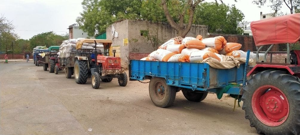 8370 quintals of mustard purchased from 374 farmers in Mahendragarh and Satnali