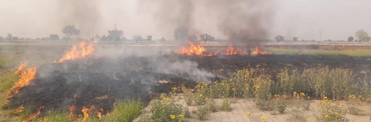 15 FIRs registered for burning stubble in fields, investigation continues in 15 other cases