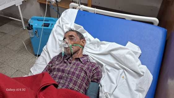 A swarm of bees attacked a family, one person is seriously injured