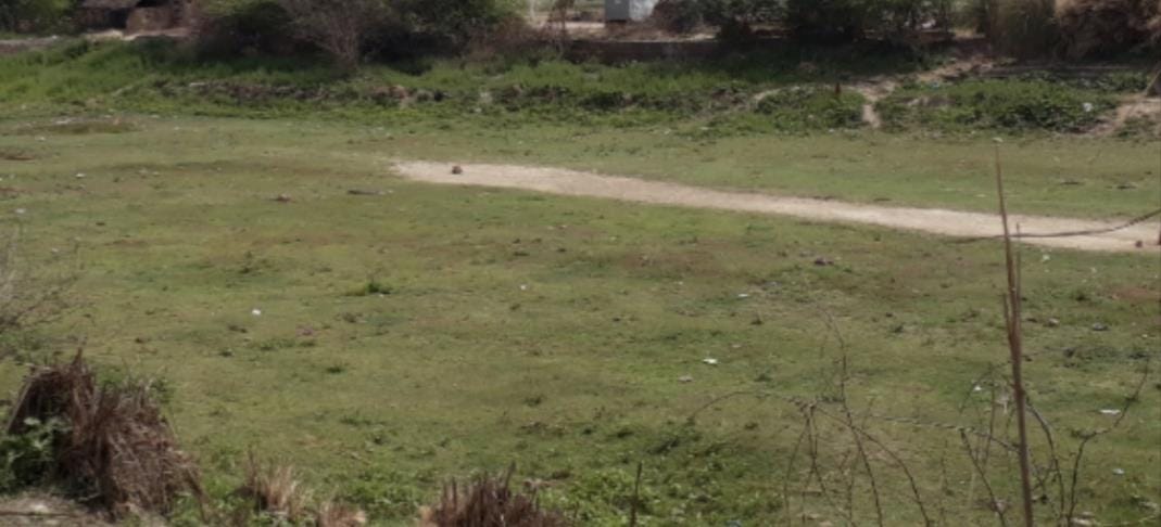 The ponds are dry, animals and birds are suffering due to thirst