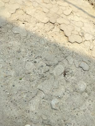 The connecting road in ward two of Nagar Nigam Hamirpur is in bad condition