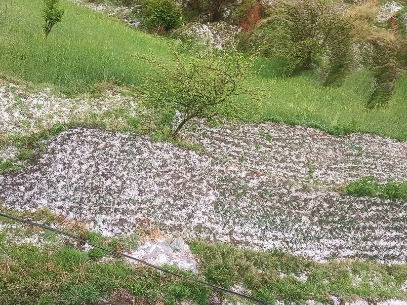 Heavy hailstorm along with rain in Balichowki area, damage to crops
