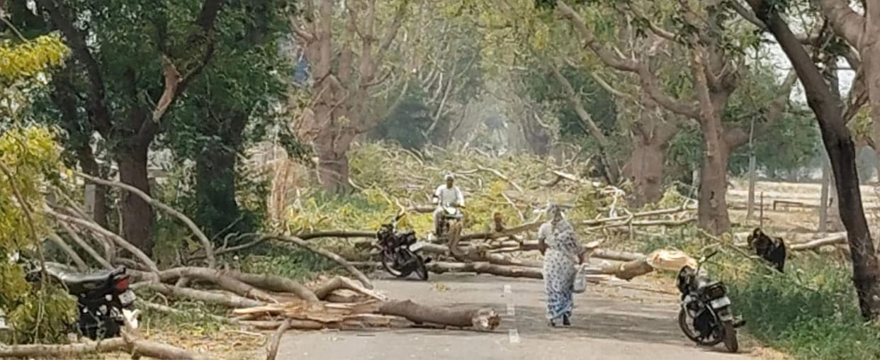 Rain and strong storm caused havoc, 300 trees, 200 electricity poles and 8 transformers fell