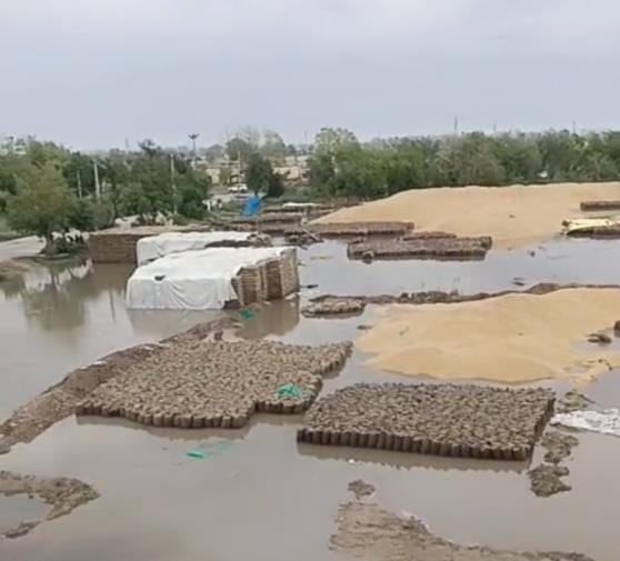 Rain along with storm caused havoc, 1800 trees and more than 900 electricity poles were broken