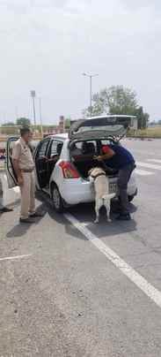 Police is taking the help of Sheru and Rambo to catch drug smugglers