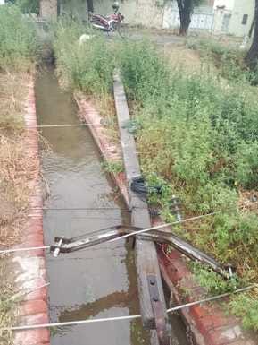 Wheat got wet in the markets due to rain, poles and trees broke due to storm, electricity supply was restored in many villages only after noon