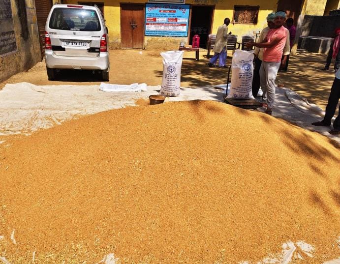 Food department ahead in wheat procurement, UP PCF behind