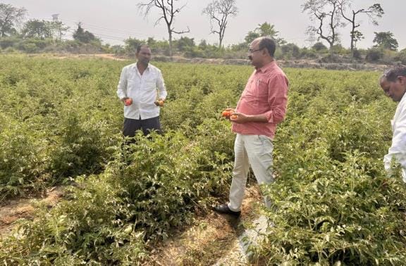 Farmers will be able to grow vegetables out of season
